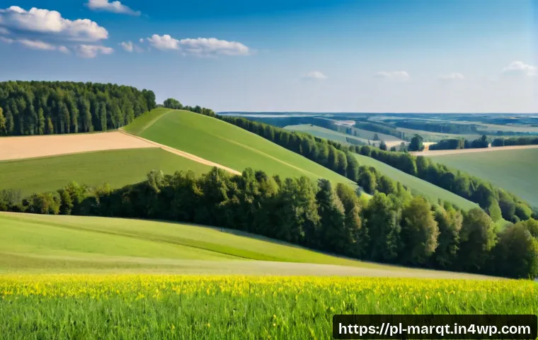 Jak przygotować próbki zapachowe dla firmy i ocenić je przed wdrożeniem aromamarketingu 4 향기 마케팅을 위한 샘플 제작 팁 관련 이미지 2